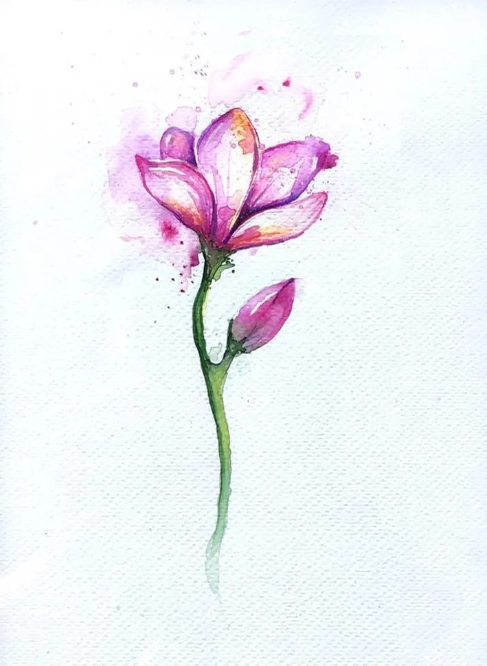 Wzór: Akwarelowa magnolia