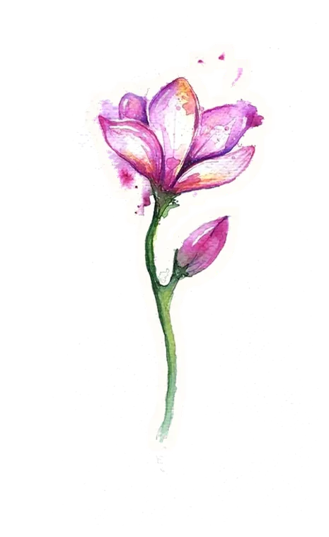 Akwarelowa magnolia